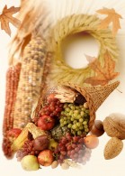 Harvest Festival